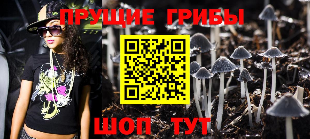 Галлюциногенные грибы Cubensis  купить   Галлюциногенные грибы ЛСД  Киров  Вход с VPN 