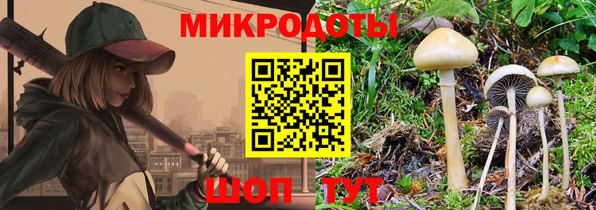 Псилоцибиновые грибы мухоморы Киров