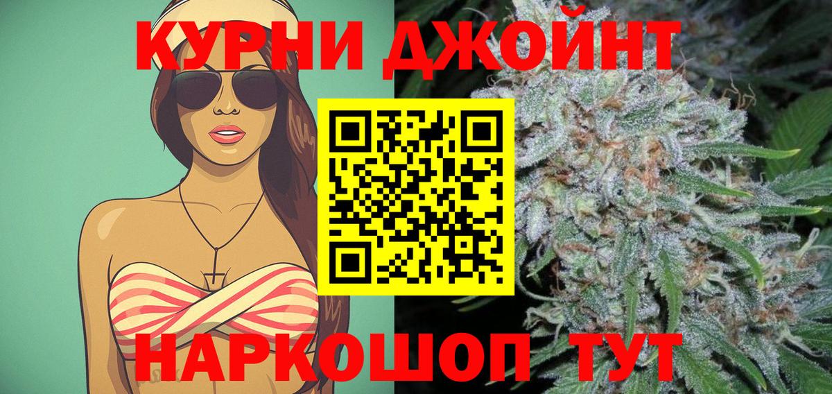 Каннабис сатива Киров